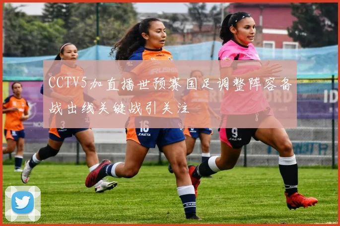 CCTV5加直播世预赛国足调整阵容备战出线关键战引关注