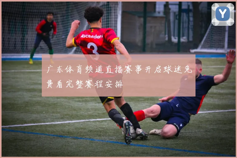 广东体育频道直播赛事开启球迷免费看完整赛程安排